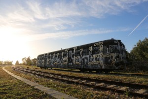 Lek-&-Sowat--Villa-Medici-Capo-d'Arte-Train-graffiti-Italia-Gagliano-del-Capo-3