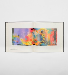 futura-2000-lenny-mcgurr-book-1989-catalogue-graffiti-artist-american-legend-exhibition-detail-1