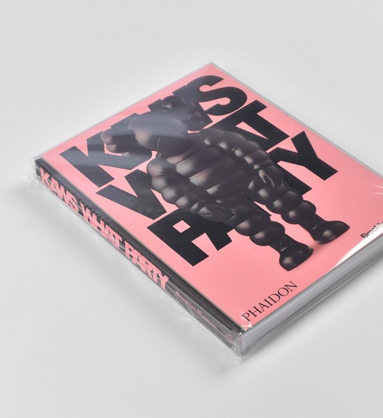 kaws-brian-donnelly-what-party-book-livre-art-phaidon-2