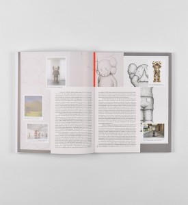 kaws-brian-donnelly-what-party-book-livre-art-phaidon-4