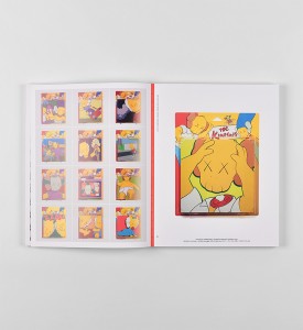 kaws-brian-donnelly-what-party-book-livre-art-phaidon-6