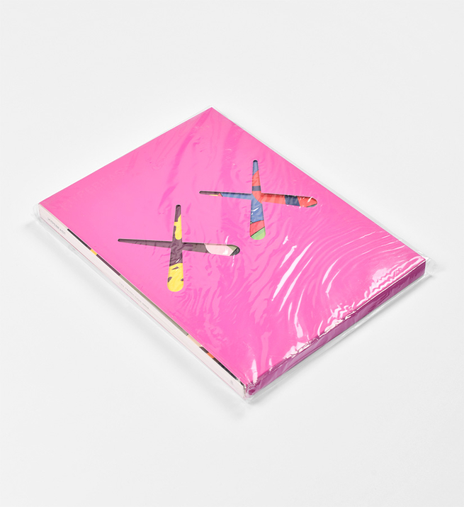 Issue 16 : the projection issue (pink version)